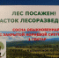ЛЕС ПОСАЖЕН - Тандинский кожуун